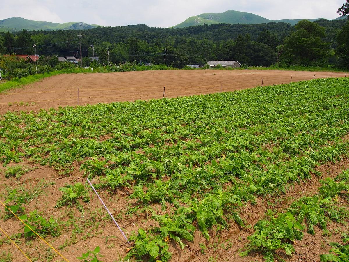 Yamano-Ie Hiraodai Kitakyūshū Exteriör bild