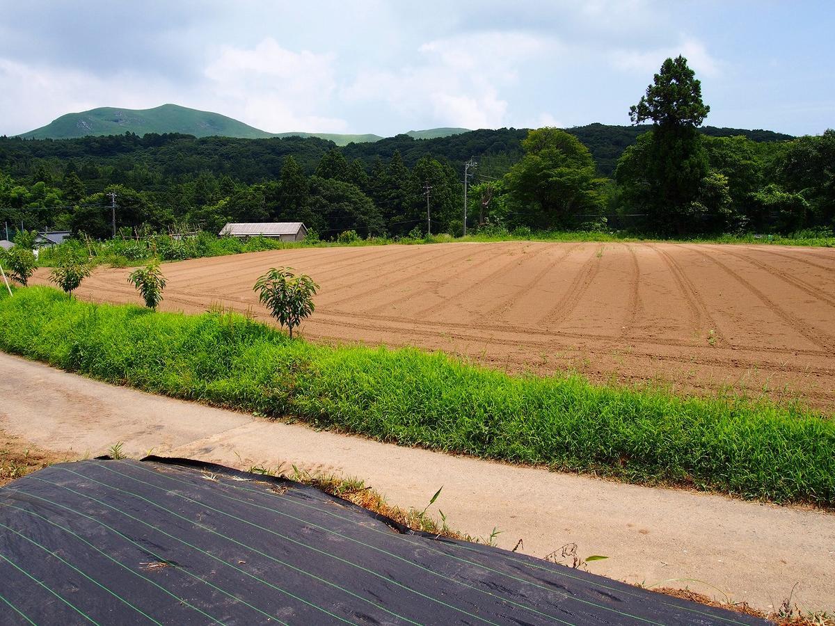 Yamano-Ie Hiraodai Kitakyūshū Exteriör bild
